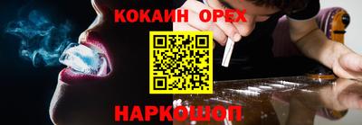 тгк Кингисепп