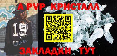 тгк Кингисепп