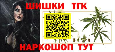 тгк Кингисепп