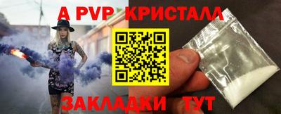 тгк Кингисепп