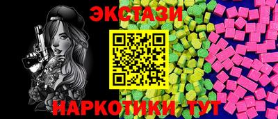тгк Кингисепп