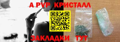 тгк Кингисепп
