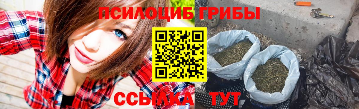 Псилоцибиновые грибы ЛСД Шелехов